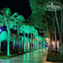 Alva Donna World Palace 5* - Фото отеля