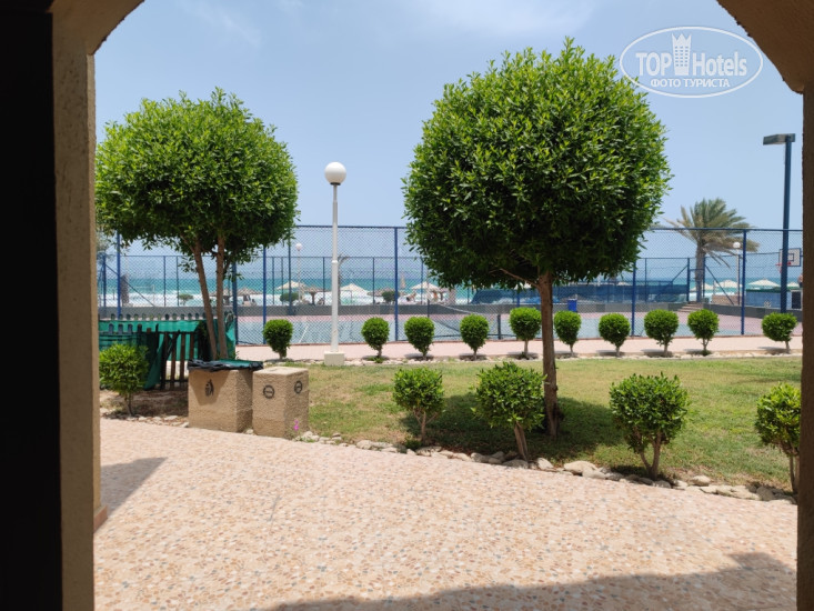 Carlton Sharjah 4* Вид из окна - Фото отеля