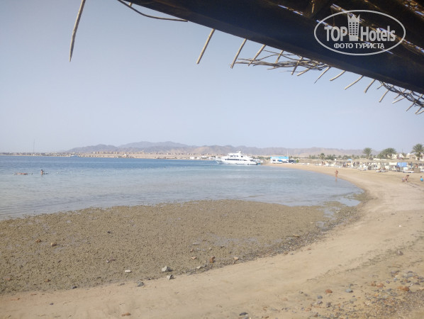 Paradise Abu Soma 4* - Фото отеля
