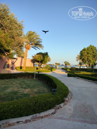 Paradise Abu Soma 4* - Фото отеля