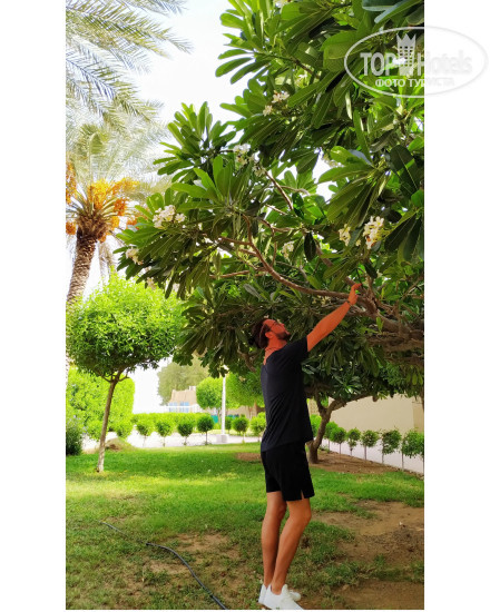 Carlton Sharjah 4* - Фото отеля