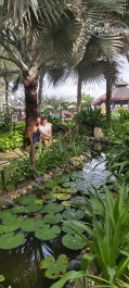 Sailing Bay Beach Resort 4* - Фото отеля