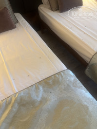 Aquaworld Belek by MP Hotels 5* 1502 (все в мухах , живых и дохлых) - Фото отеля