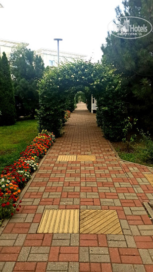 Bridge Resort (Бридж Резорт) 4* Территория - Фото отеля