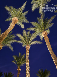 The Grand Makadi Hotel 5* - Фото отеля