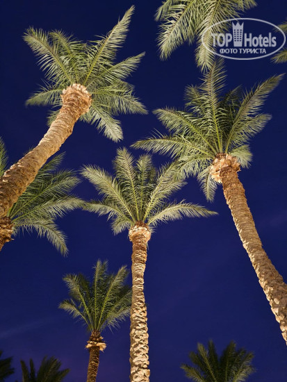 The Grand Makadi Hotel 5* - Фото отеля
