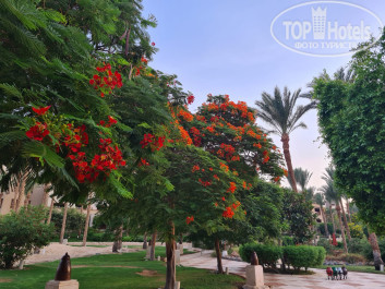 The Grand Makadi Hotel 5* - Фото отеля