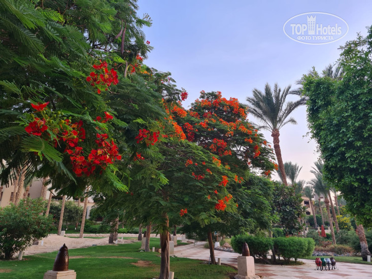 The Grand Makadi Hotel 5* - Фото отеля