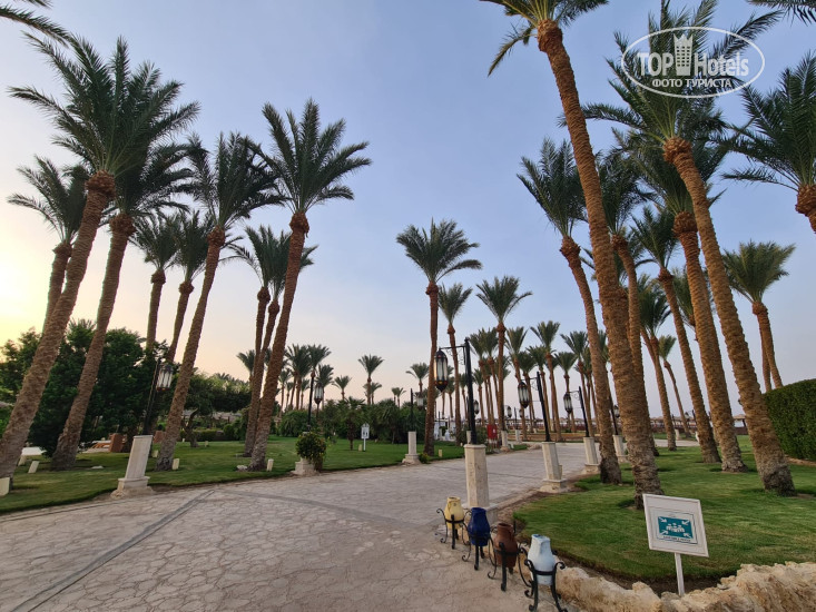 The Grand Makadi Hotel 5* - Фото отеля