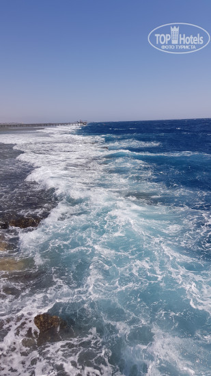Sharm Grand Plaza Resort 5* - Фото отеля
