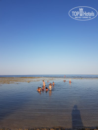 Sharm Grand Plaza Resort 5* - Фото отеля