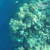 Sharm Grand Plaza Resort 5* - Фото отеля