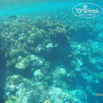 Sharm Grand Plaza Resort 5* - Фото отеля