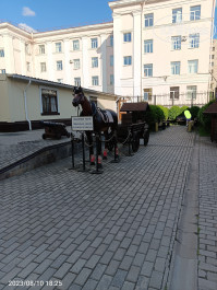 365 СПб - Фото отеля