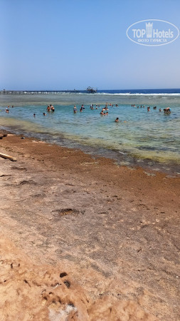 Sharm Grand Plaza Resort 5* - Фото отеля