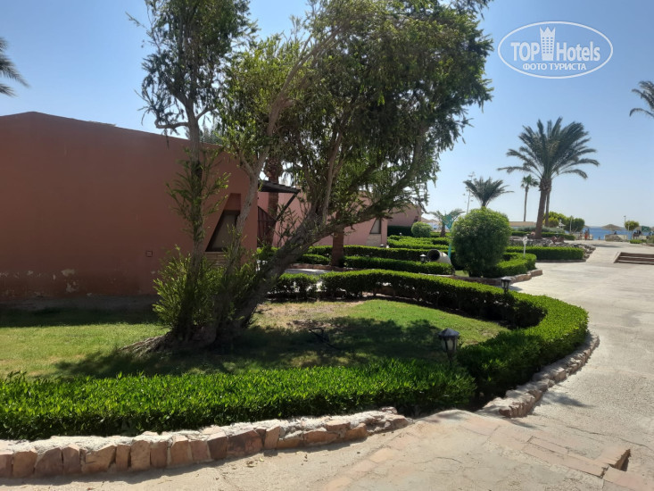 Paradise Abu Soma 4* - Фото отеля