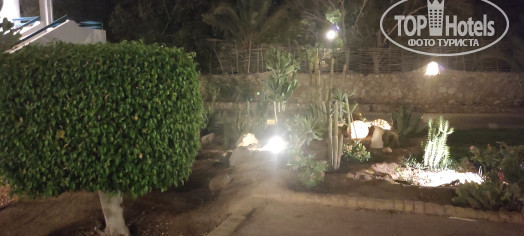 Dreams Vacation Resort Sharm El Sheikh 4* Территория - Фото отеля