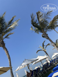 JA Beach Hotel 5* - Фото отеля