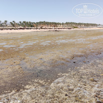 Sharm Grand Plaza Resort 5* Во время отлива... - Фото отеля