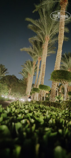 Sharm Grand Plaza Resort 5* - Фото отеля