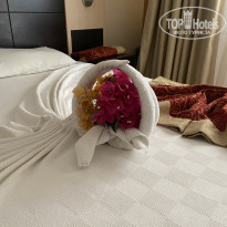 Viking Garden Hotel 4* - Фото отеля