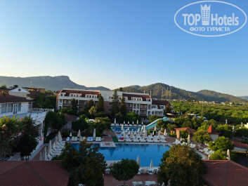 Viking Garden Hotel 4* Вид из номера - Фото отеля
