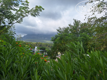 Viking Garden Hotel 4* - Фото отеля