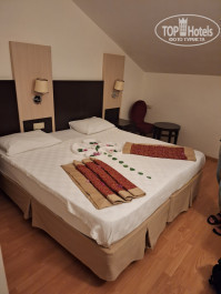 Viking Garden Hotel 4* Номер при заселении - Фото отеля
