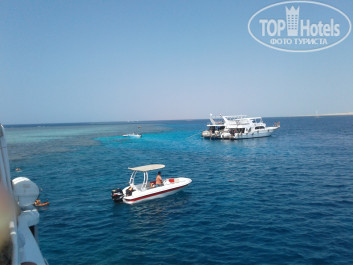 Sharm Grand Plaza Resort 5* снорк-дайв трип к рифу у острова Тиран, рекомендую.. - Фото отеля