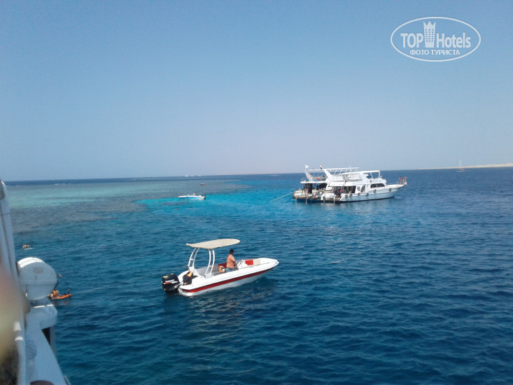 Sharm Grand Plaza Resort 5* снорк-дайв трип к рифу у острова Тиран, рекомендую.. - Фото отеля