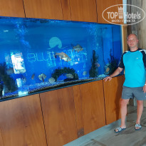Blue Wave Suite Hotel 4* - Фото отеля