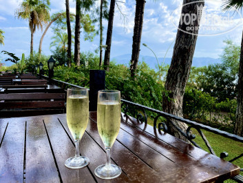 Grand Yazici Club Marmaris Palace HV-1 - Фото отеля