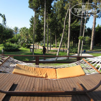 Rox Royal Hotel 5* - Фото отеля