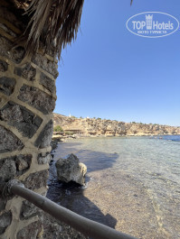 Dreams Vacation Resort Sharm El Sheikh 4* - Фото отеля