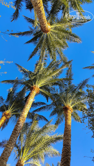 Sharm Grand Plaza Resort 5* - Фото отеля