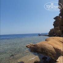 Dreams Vacation Resort Sharm El Sheikh 4* - Фото отеля