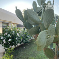 Amara Family Resort