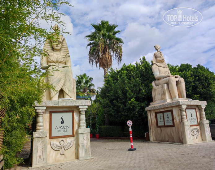 Новые добавленные фото туристов в Amon Hotels 4*