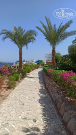 Naama Bay Hotel & Resort 5* - Фото отеля