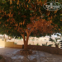 Zahabia Hotel & Beach Resort
