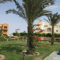 Caribbean World Soma Bay 5* - Фото отеля