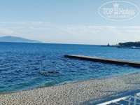 �������� �����