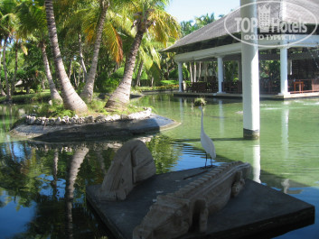 Catalonia Bavaro Beach, Golf & Casino Resort 5* Около ресторана Gran Caribe - Фото отеля