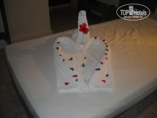 Paradise Abu Soma 4* - Фото отеля