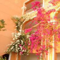 Caribbean World Soma Bay 5* - Фото отеля