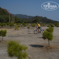 Ideal Prime Beach 5* - Фото отеля