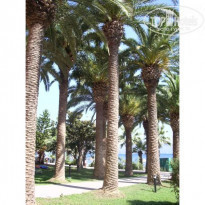 Ideal Prime Beach 5* - Фото отеля