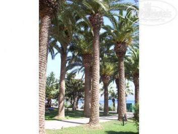 Ideal Prime Beach 5* - Фото отеля