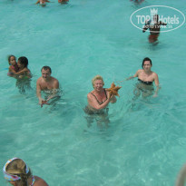 Riu Naiboa 4* Морские звезды в Карибском море - Фото отеля