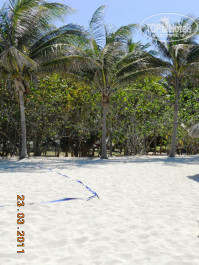 Brisas Del Caribe 4* пляж - Фото отеля